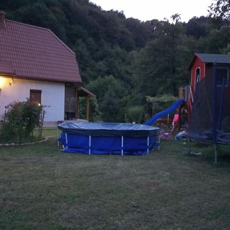 Cottage Forest Stream Visoko Εξωτερικό φωτογραφία